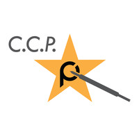 中國探針Logo